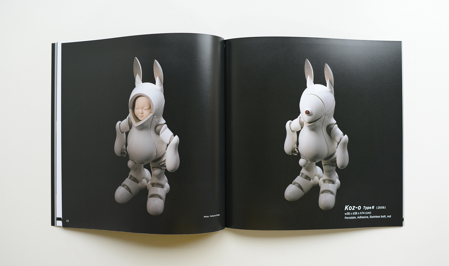Shigeki Hayashi Ceramic Works book3